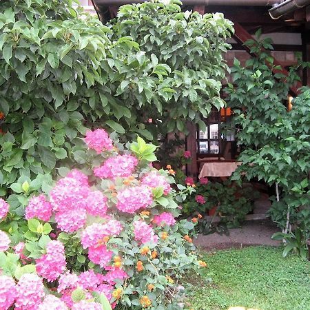 Guest House Zlatibor Budua Esterno foto