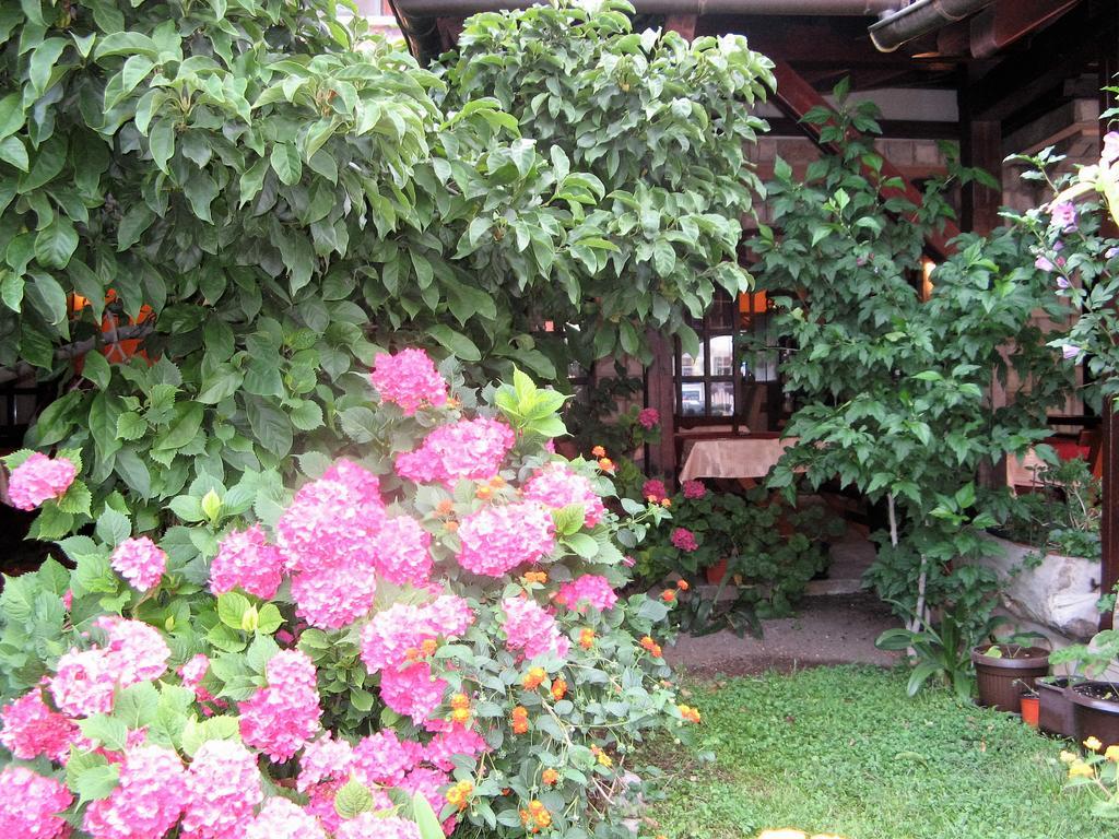 Guest House Zlatibor Budua Esterno foto